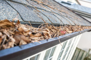 clogged gutter