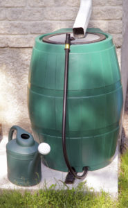 Rain Barrel